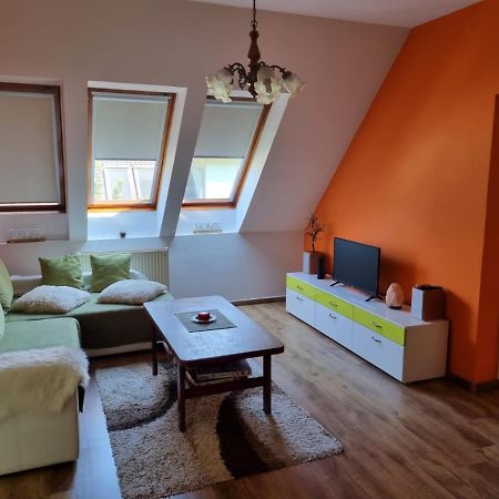 Tudor Apartman سيغيد المظهر الخارجي الصورة
