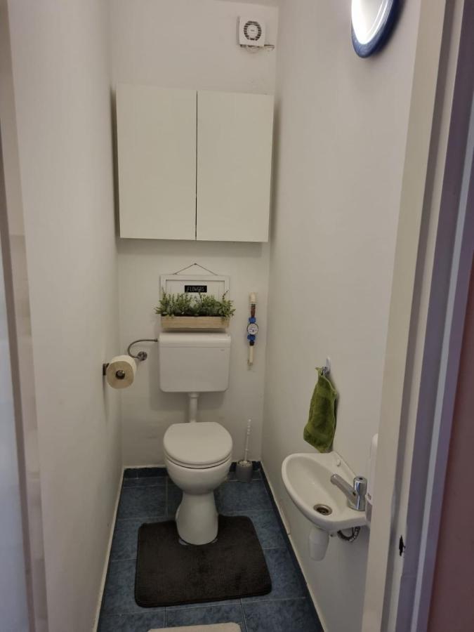 Tudor Apartman سيغيد المظهر الخارجي الصورة