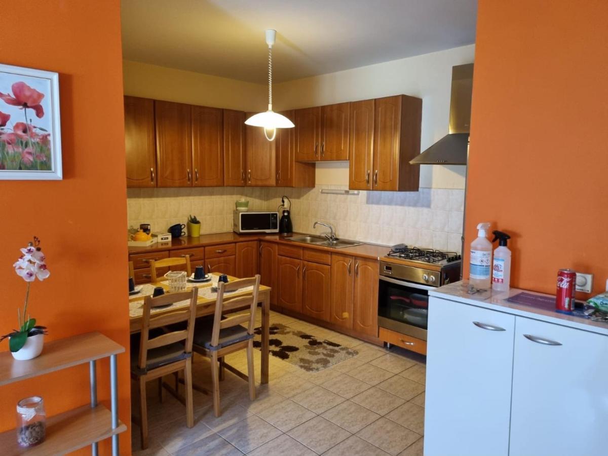 Tudor Apartman سيغيد المظهر الخارجي الصورة